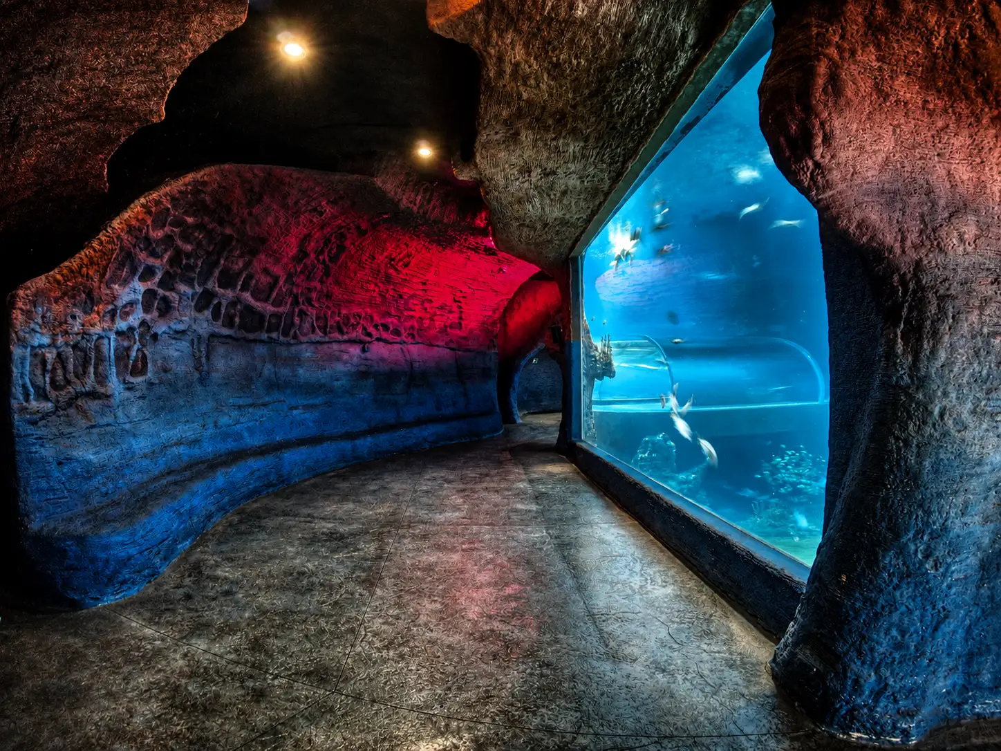 afrykarium-10.webp