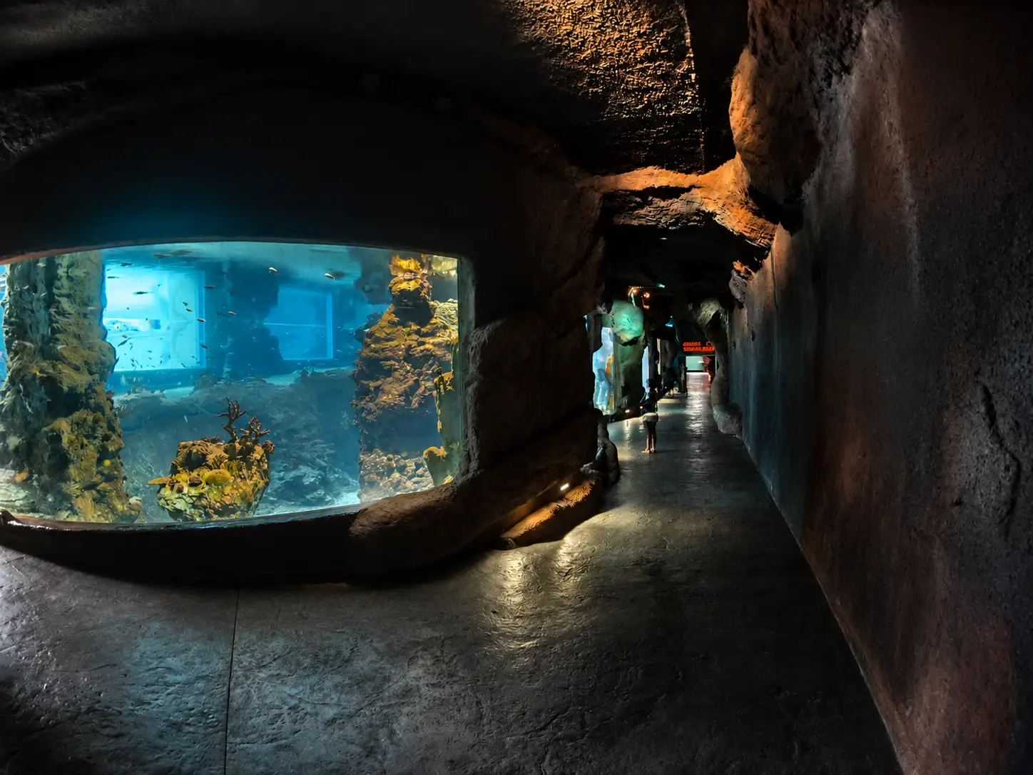 afrykarium-16.webp