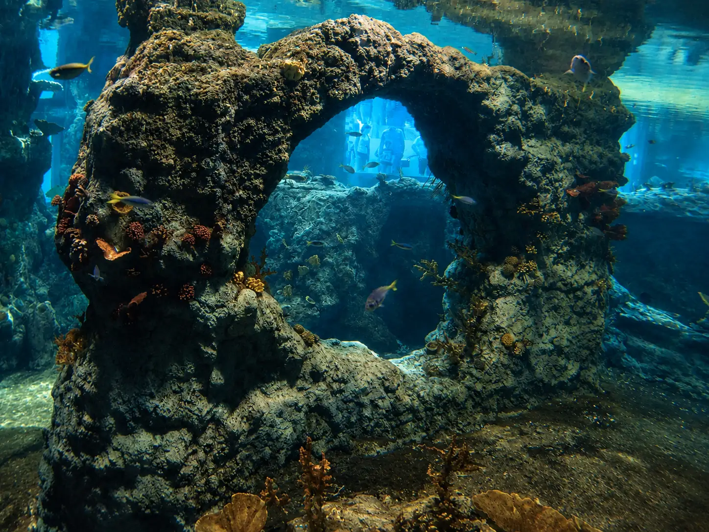 afrykarium-5.webp