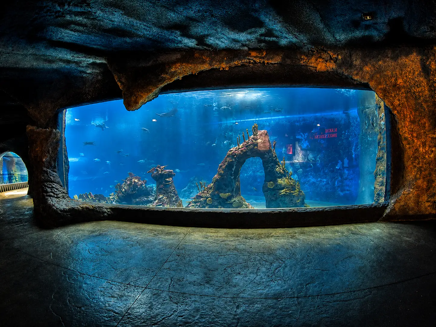 afrykarium-9.webp