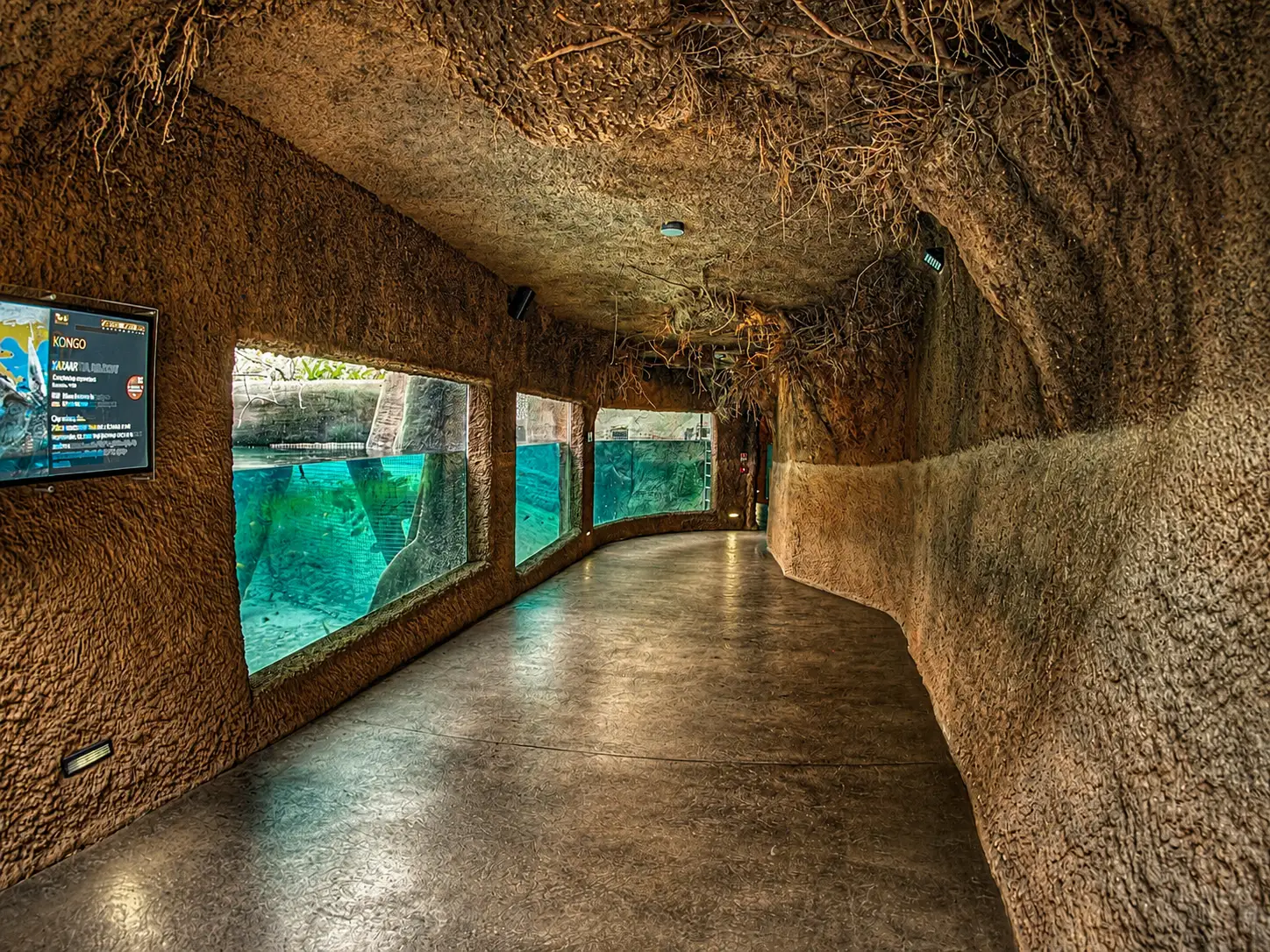 arykarium-7.webp