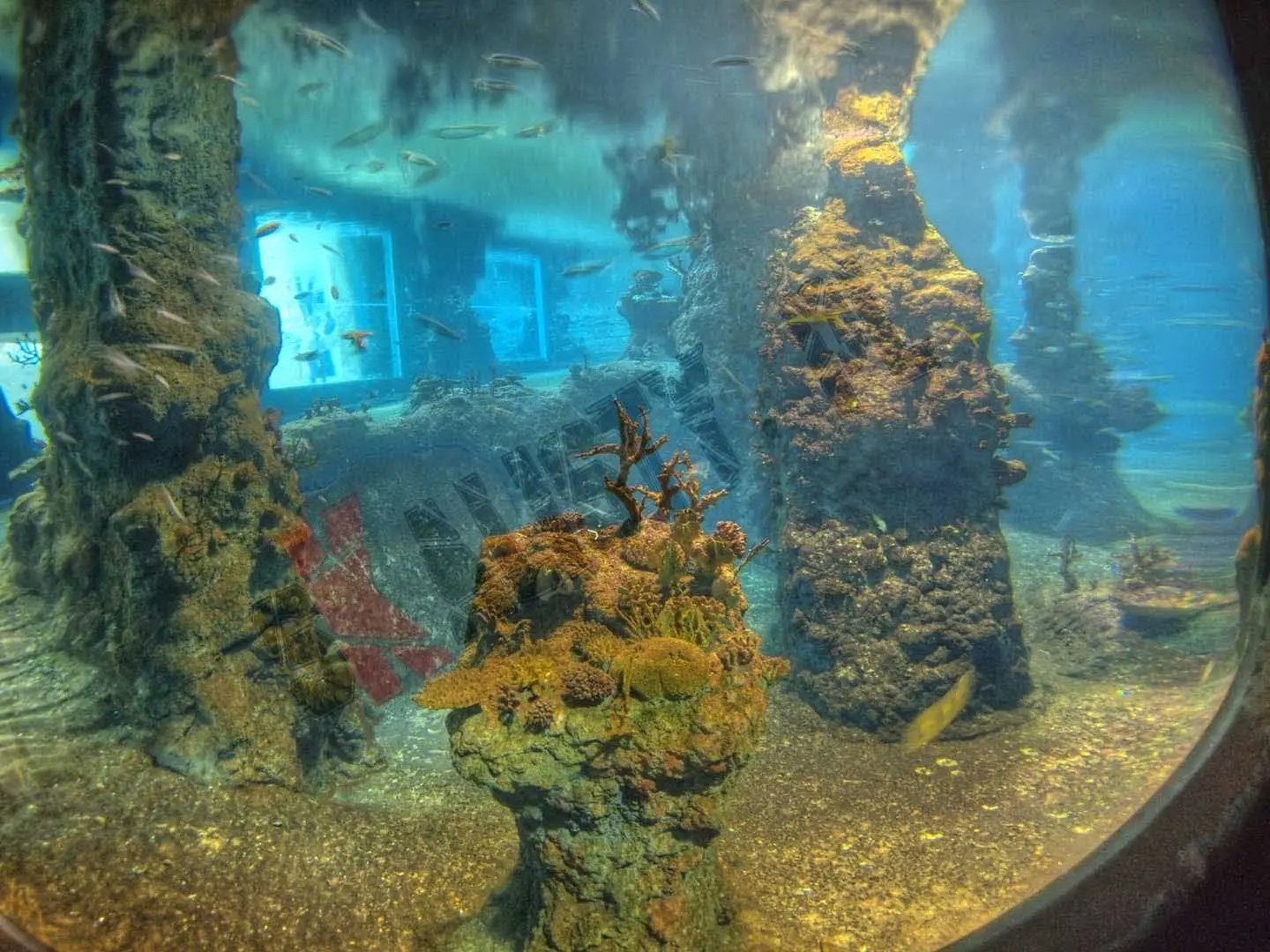 sztuczne-skaly-afrykarium-zoo-441.webp