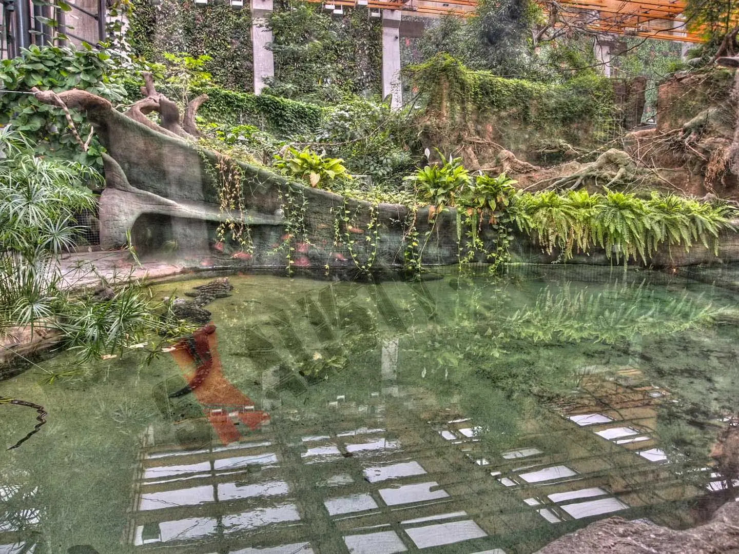 sztuczne-skaly-afrykarium-zoo-461.webp