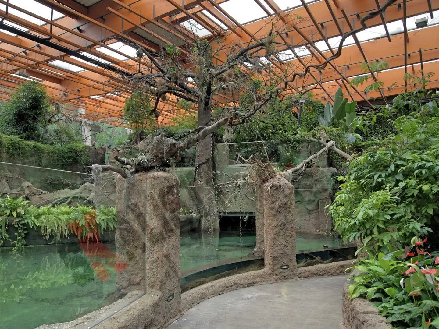 sztuczne-skaly-afrykarium-zoo-471.webp