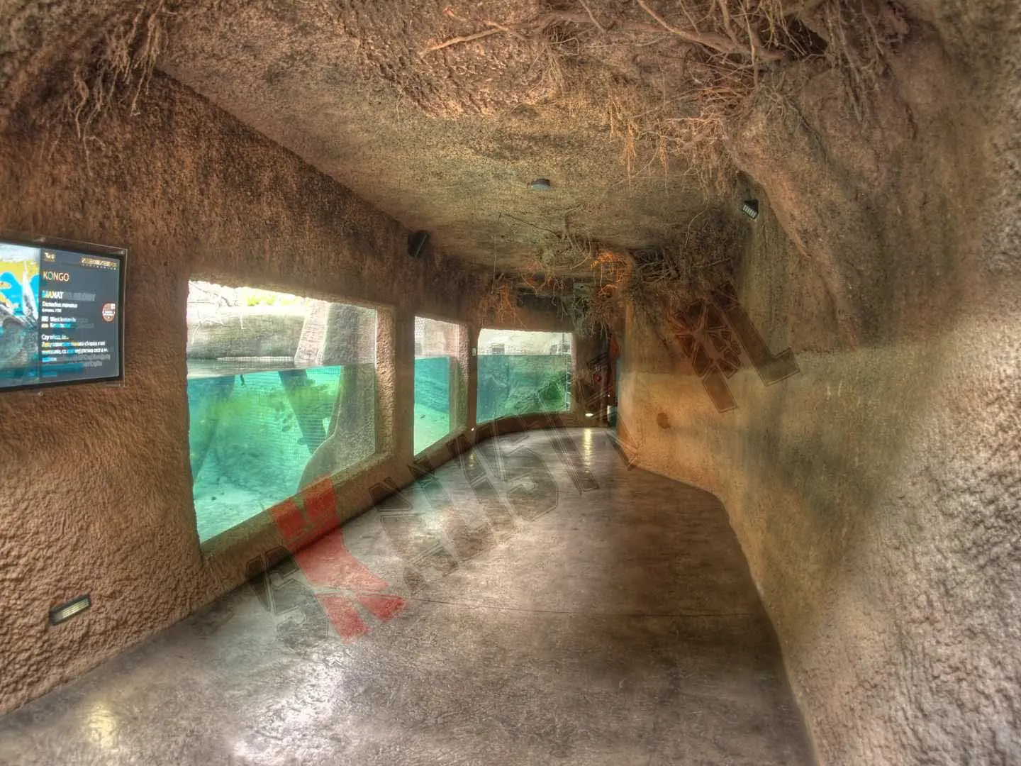 sztuczne-skaly-afrykarium-zoo-481.webp