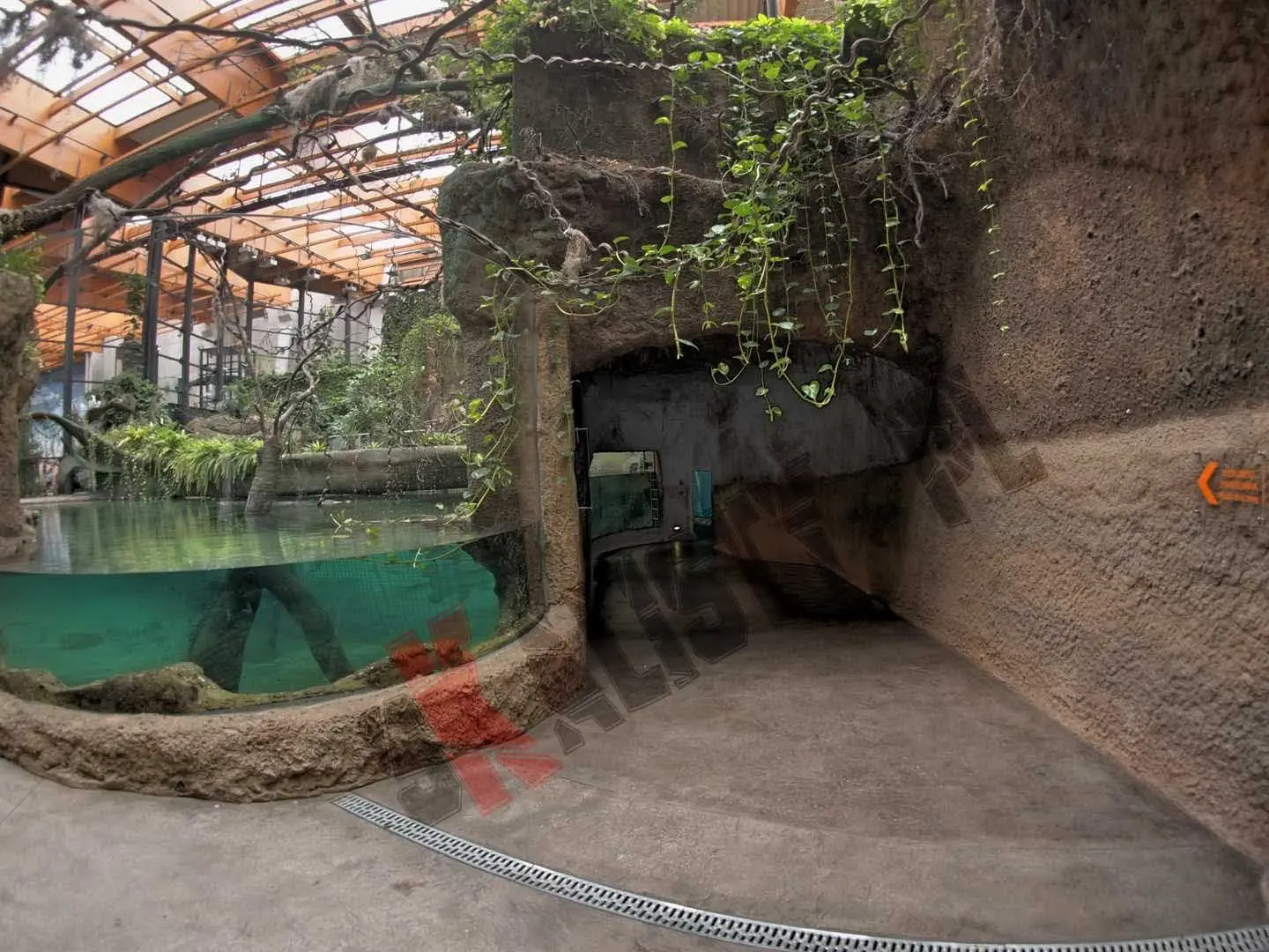 sztuczne-skaly-afrykarium-zoo-491.webp