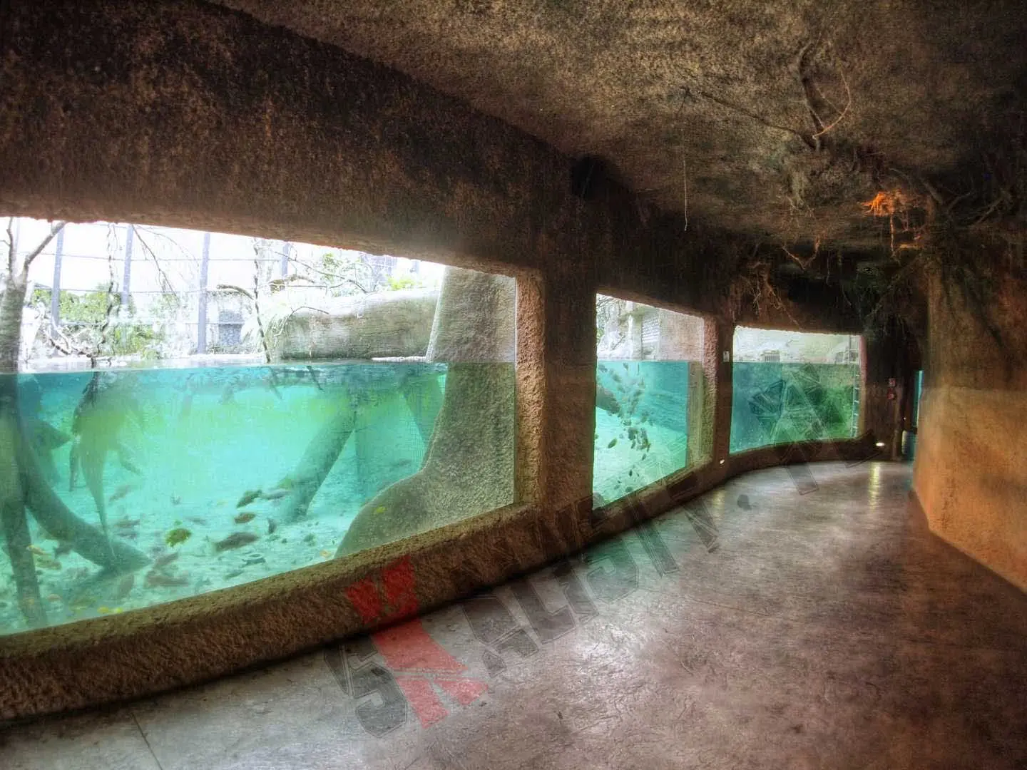 sztuczne-skaly-afrykarium-zoo-501.webp