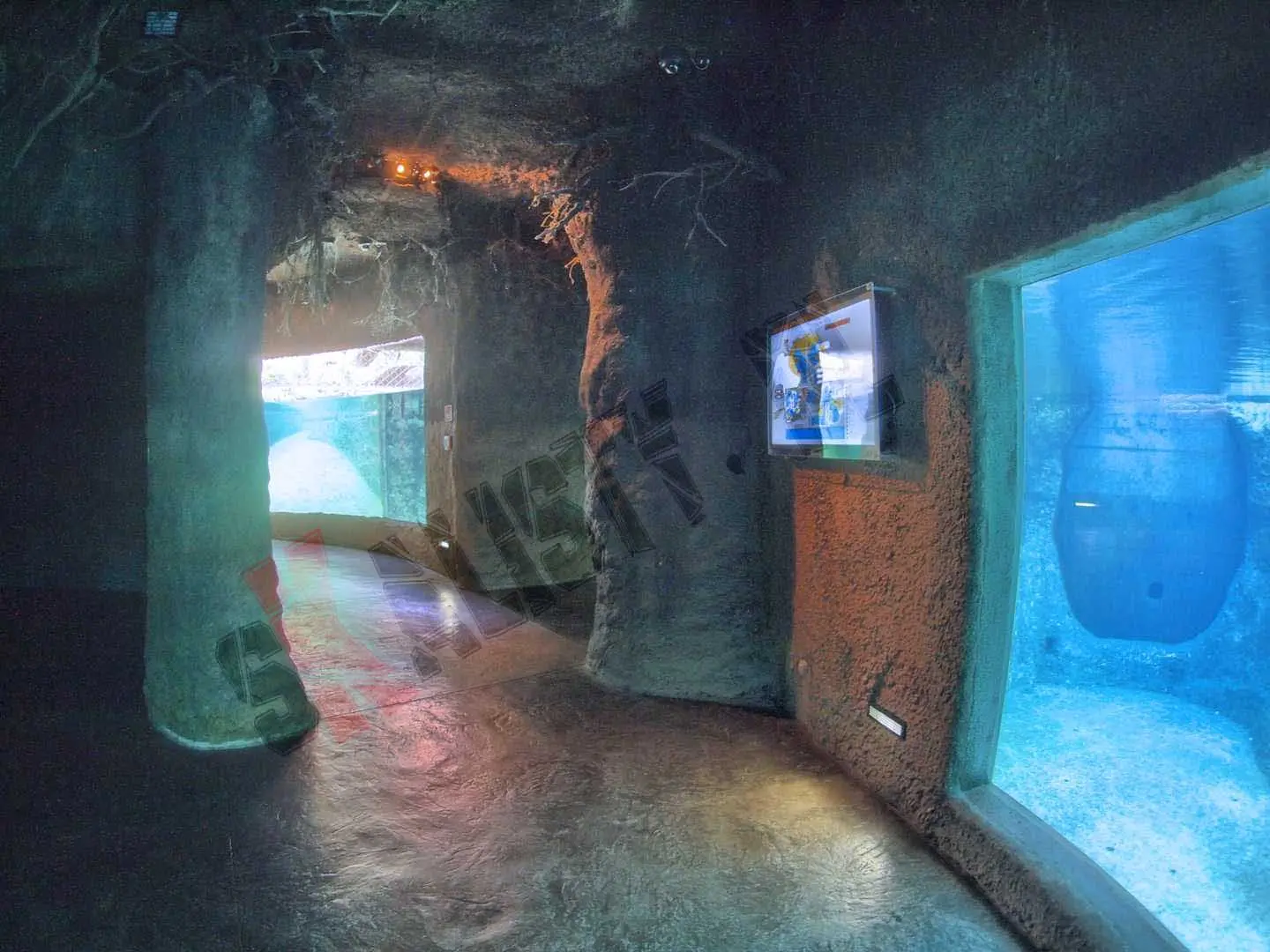 sztuczne-skaly-afrykarium-zoo-521.webp