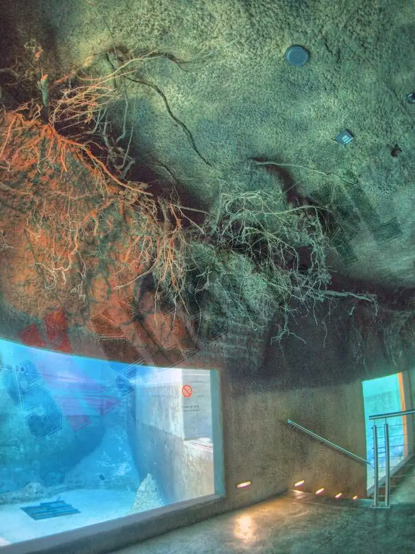 sztuczne-skaly-afrykarium-zoo-531.webp
