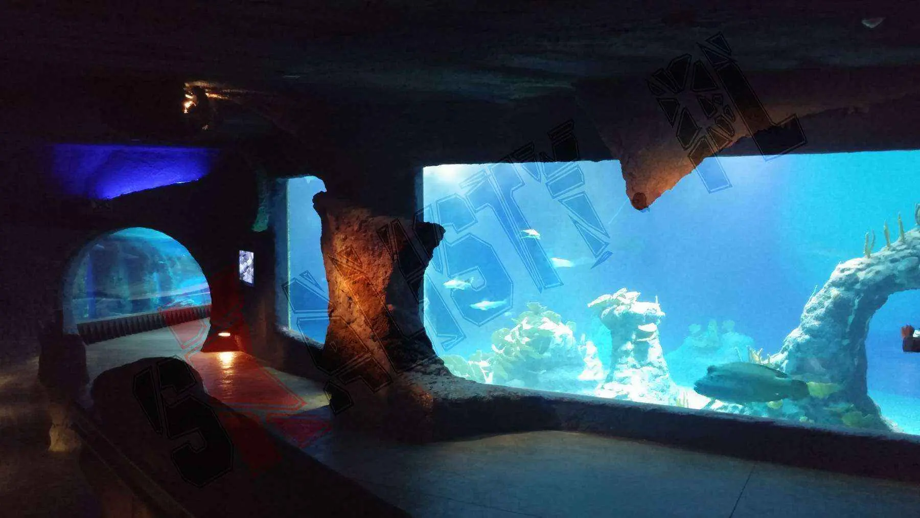 20141024_143733.webp