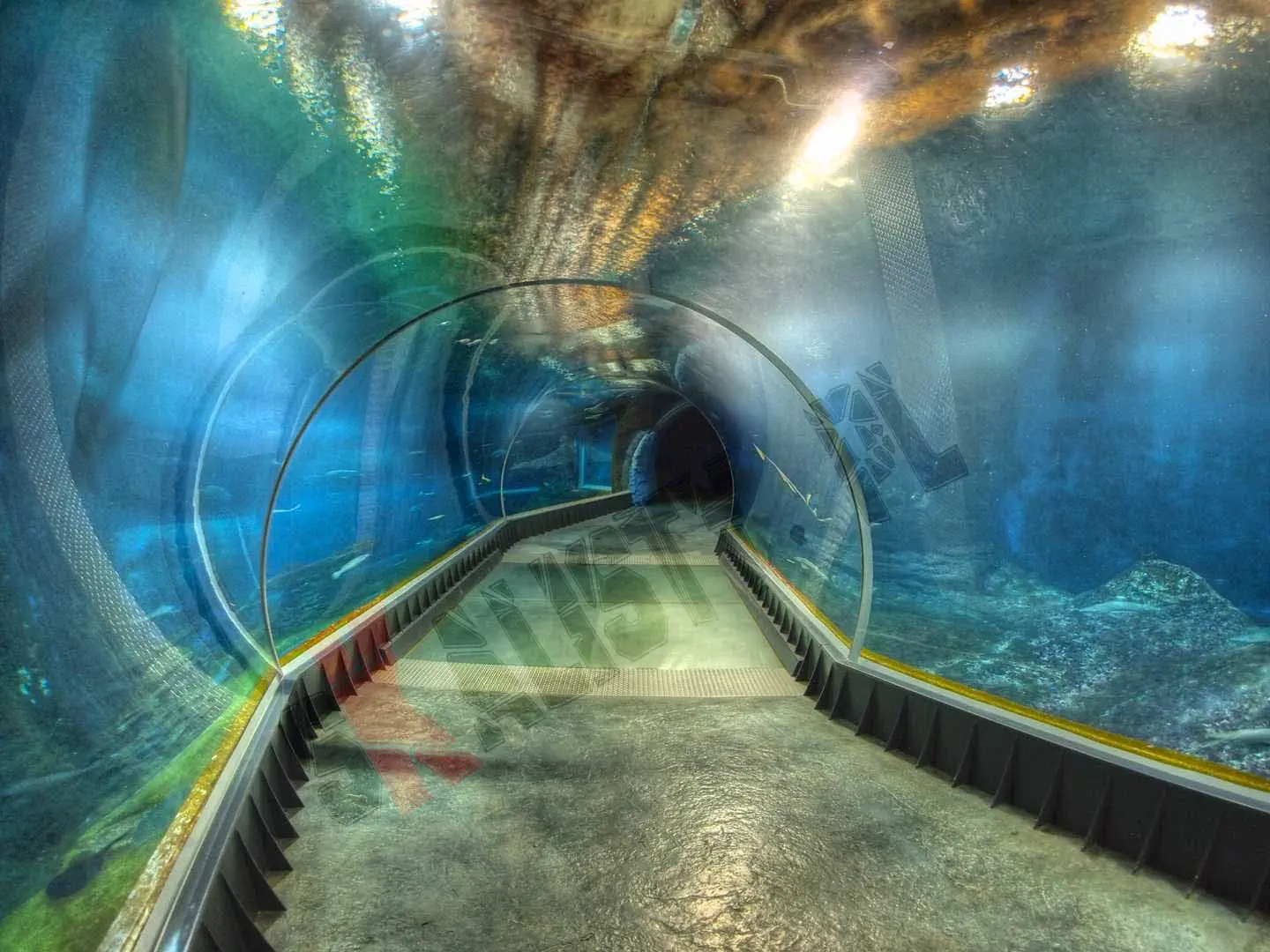 sztuczne-skaly-afrykarium-zoo-101.webp