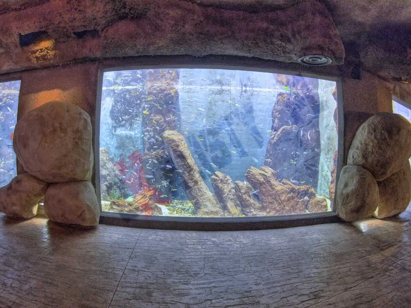 sztuczne-skaly-afrykarium-zoo-34.webp