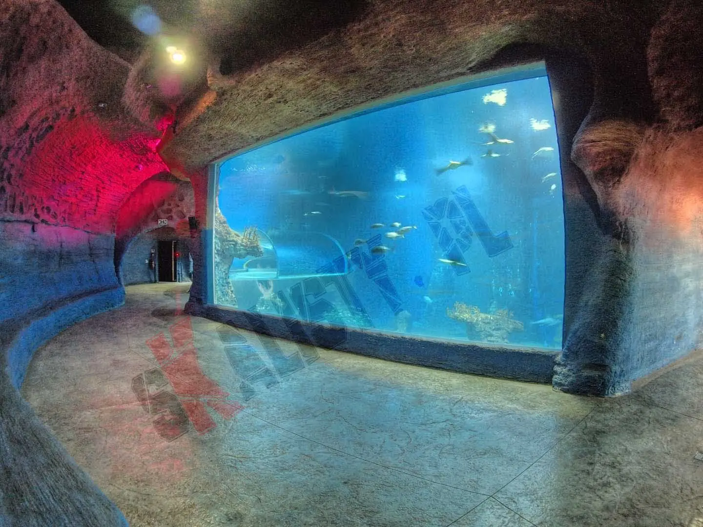 sztuczne-skaly-afrykarium-zoo-71.webp