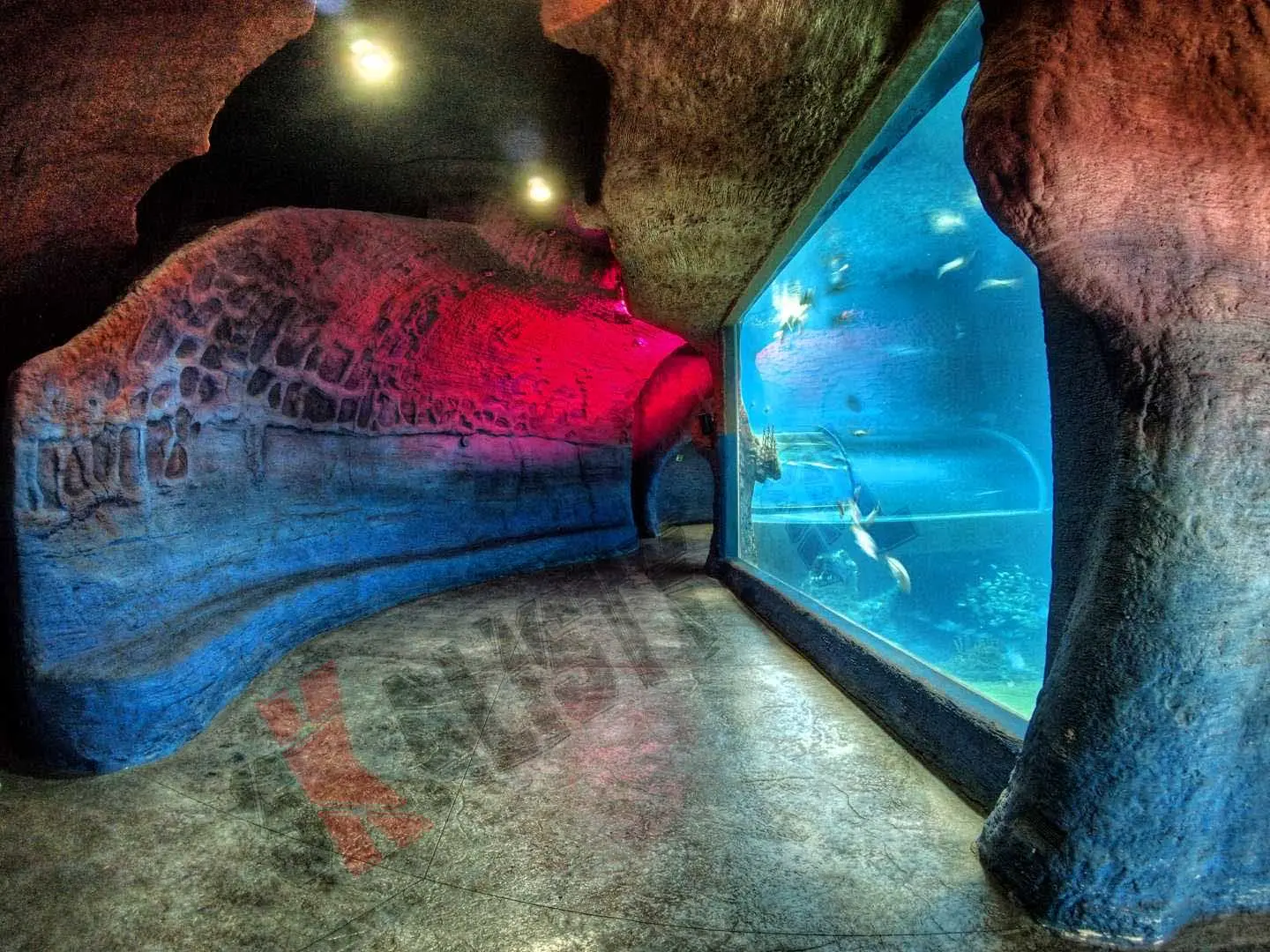 sztuczne-skaly-afrykarium-zoo-81.webp