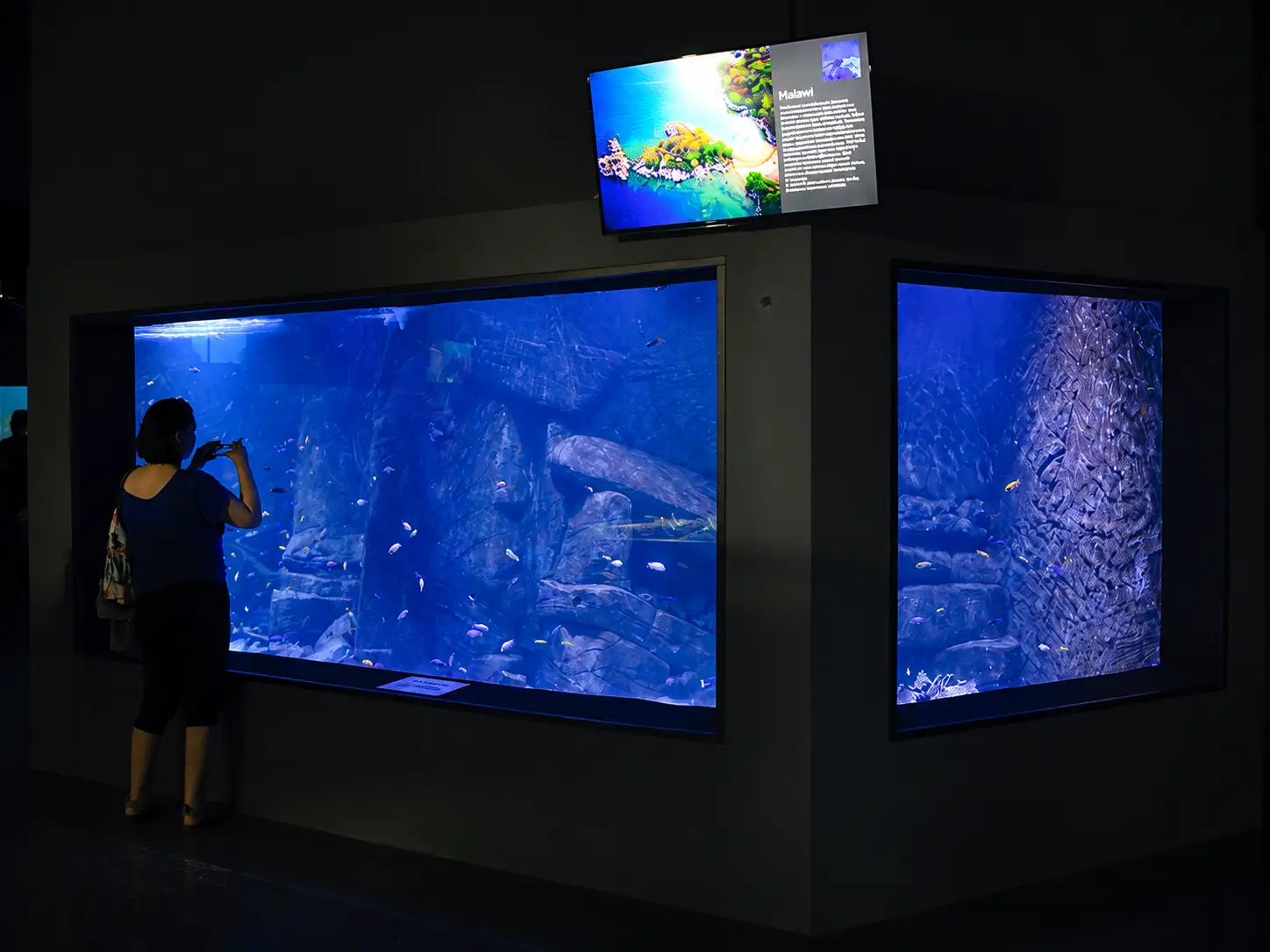 oceanika-4.webp