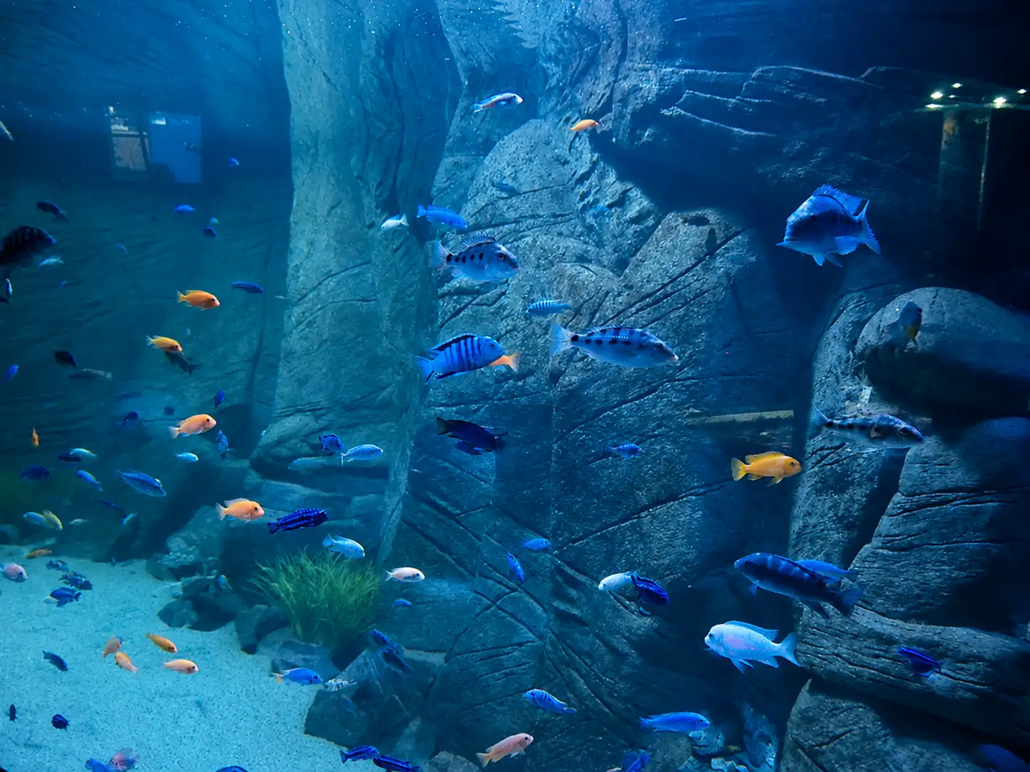 oceanika-5.webp