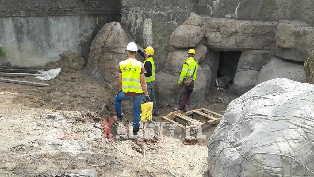 sztuczna-grota-orientarium-lwy-azjatyckie-budowa-8-min.webp
