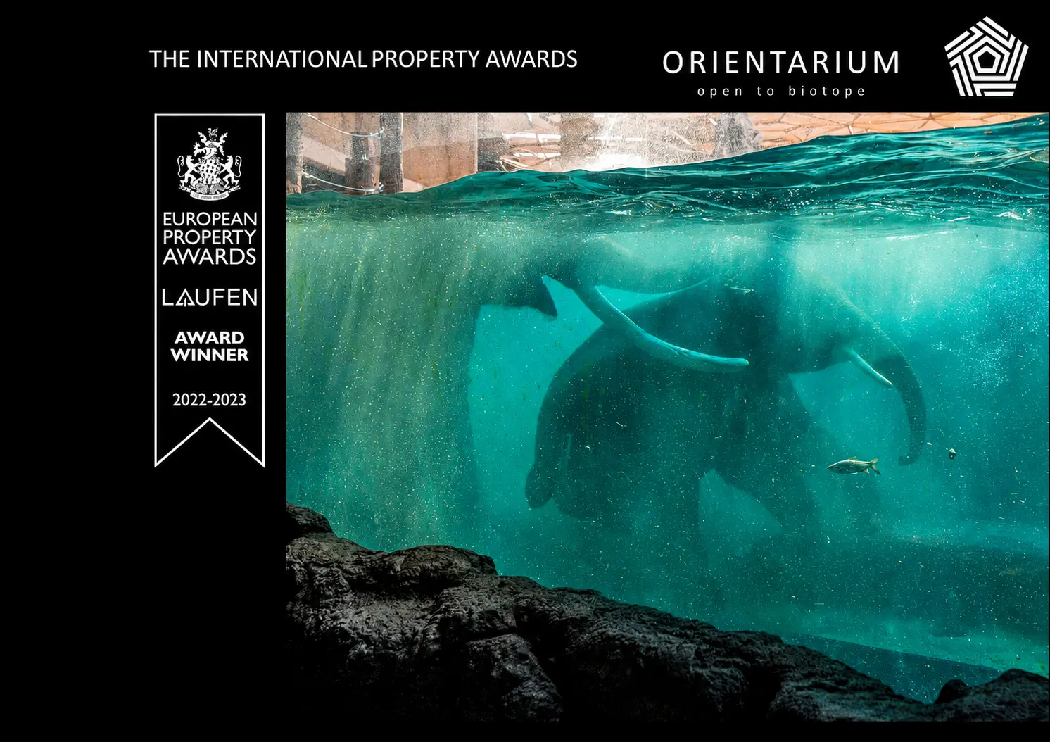 orientarium-projekt-tematyzacyjny.webp