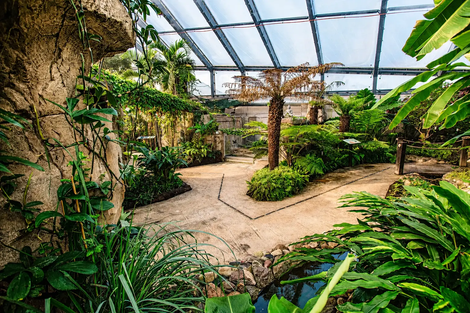 tallinn-zoo-rain-forest-1.webp