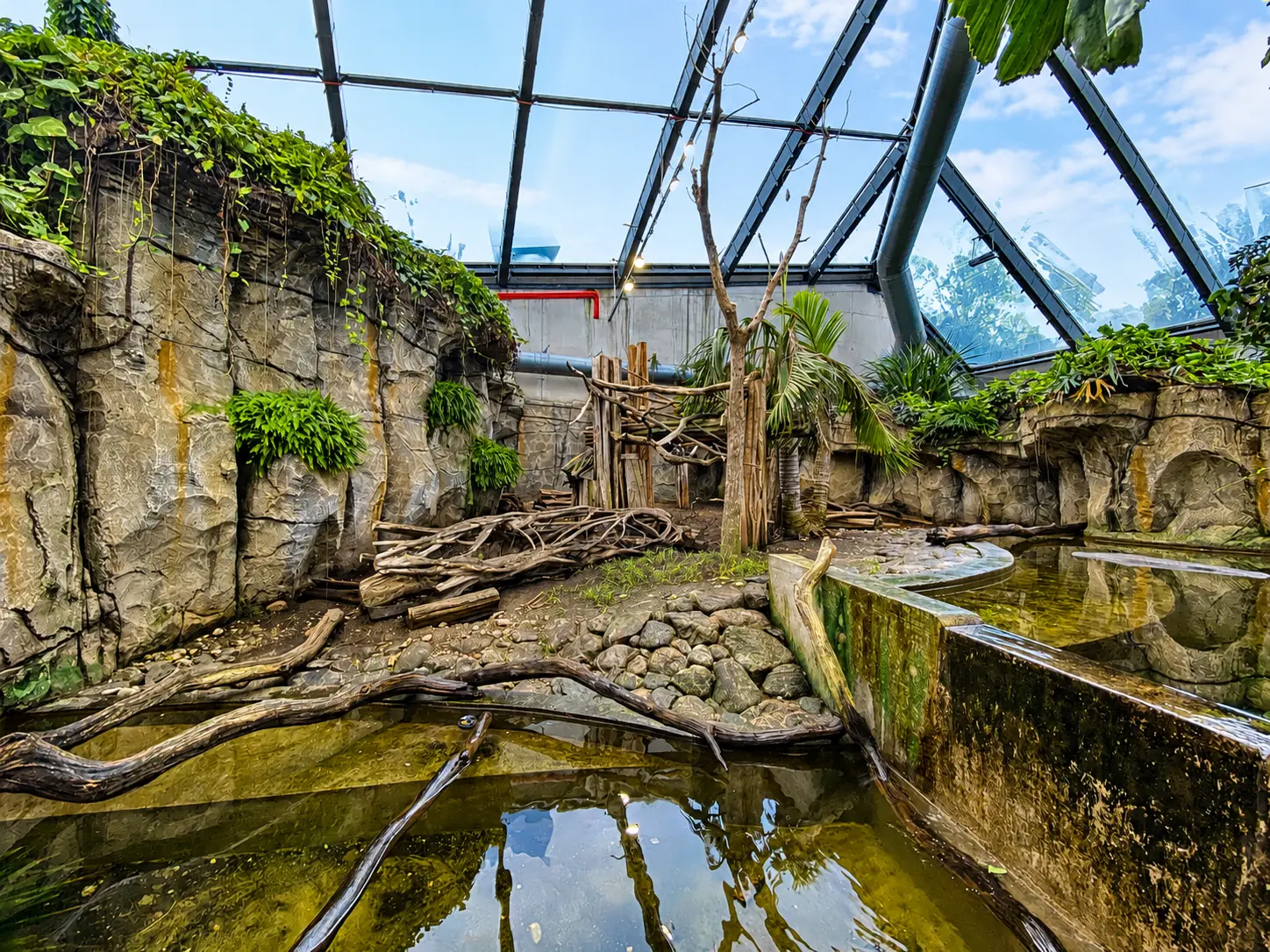 tallinn-zoo-rain-forest-4.webp