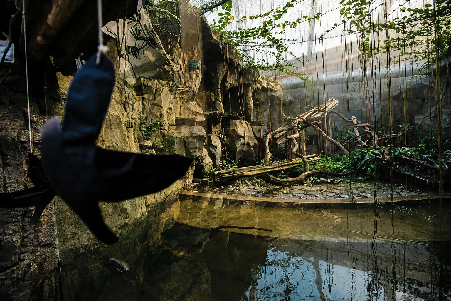 tallinn-zoo-rain-forest-5.webp