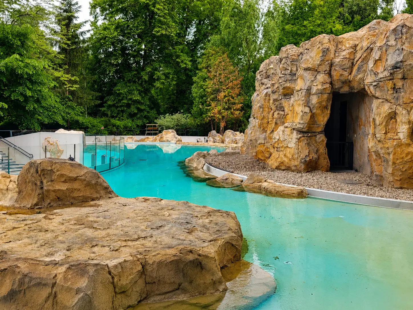 wybieg-pingwinow-zoo-warszawa-2.webp