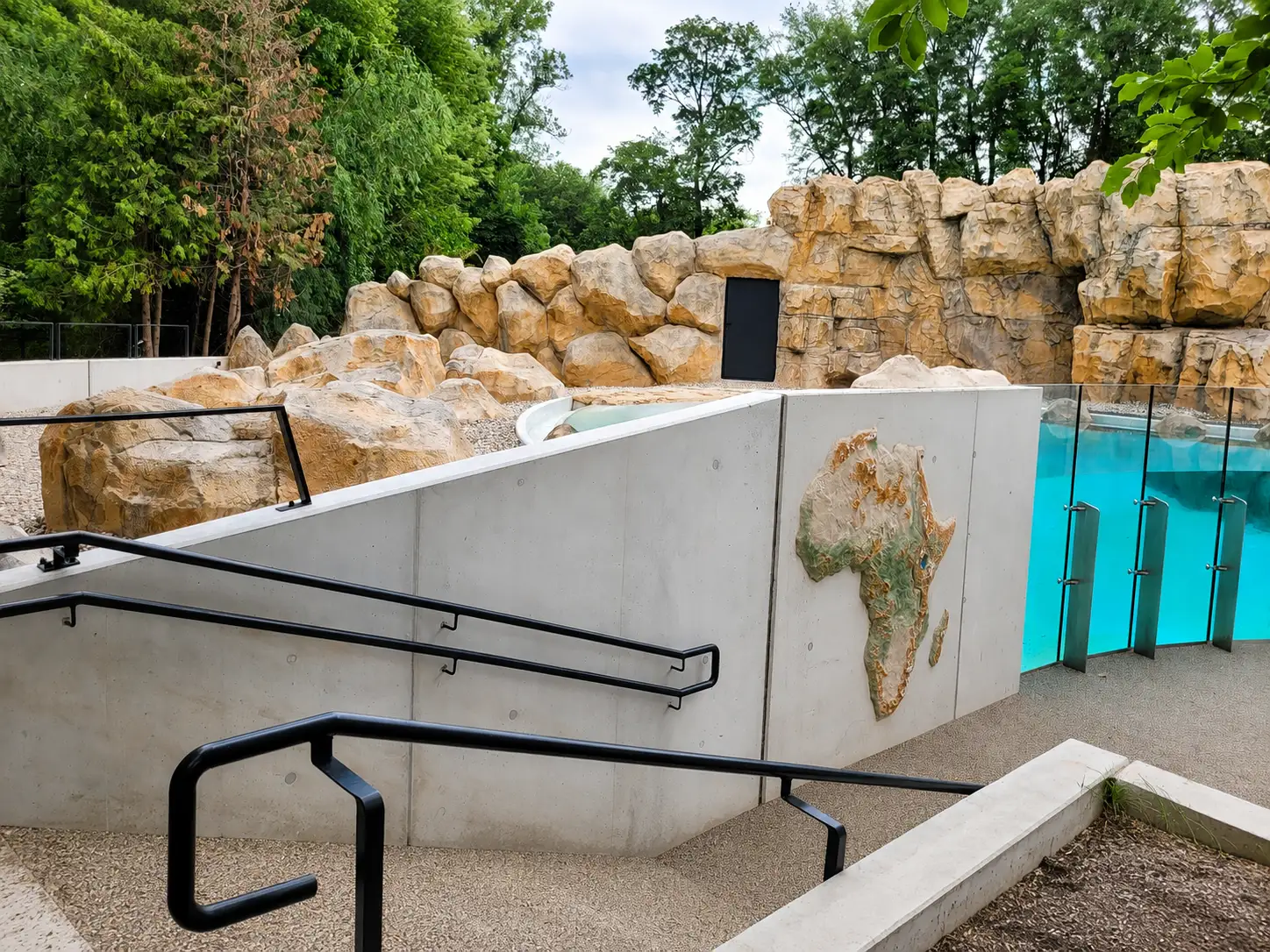 wybieg-pingwinow-zoo-warszawa-4.webp