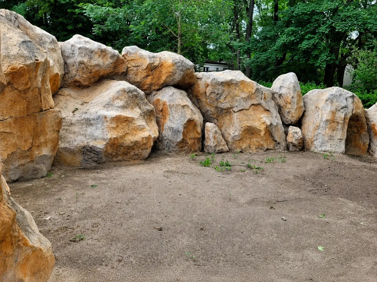 wybieg-pingwinow-zoo-warszawa-6.webp