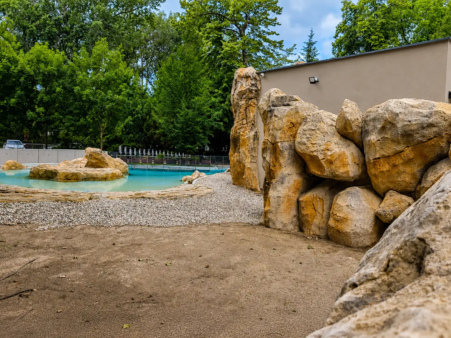 wybieg-pingwinow-zoo-warszawa-7.webp