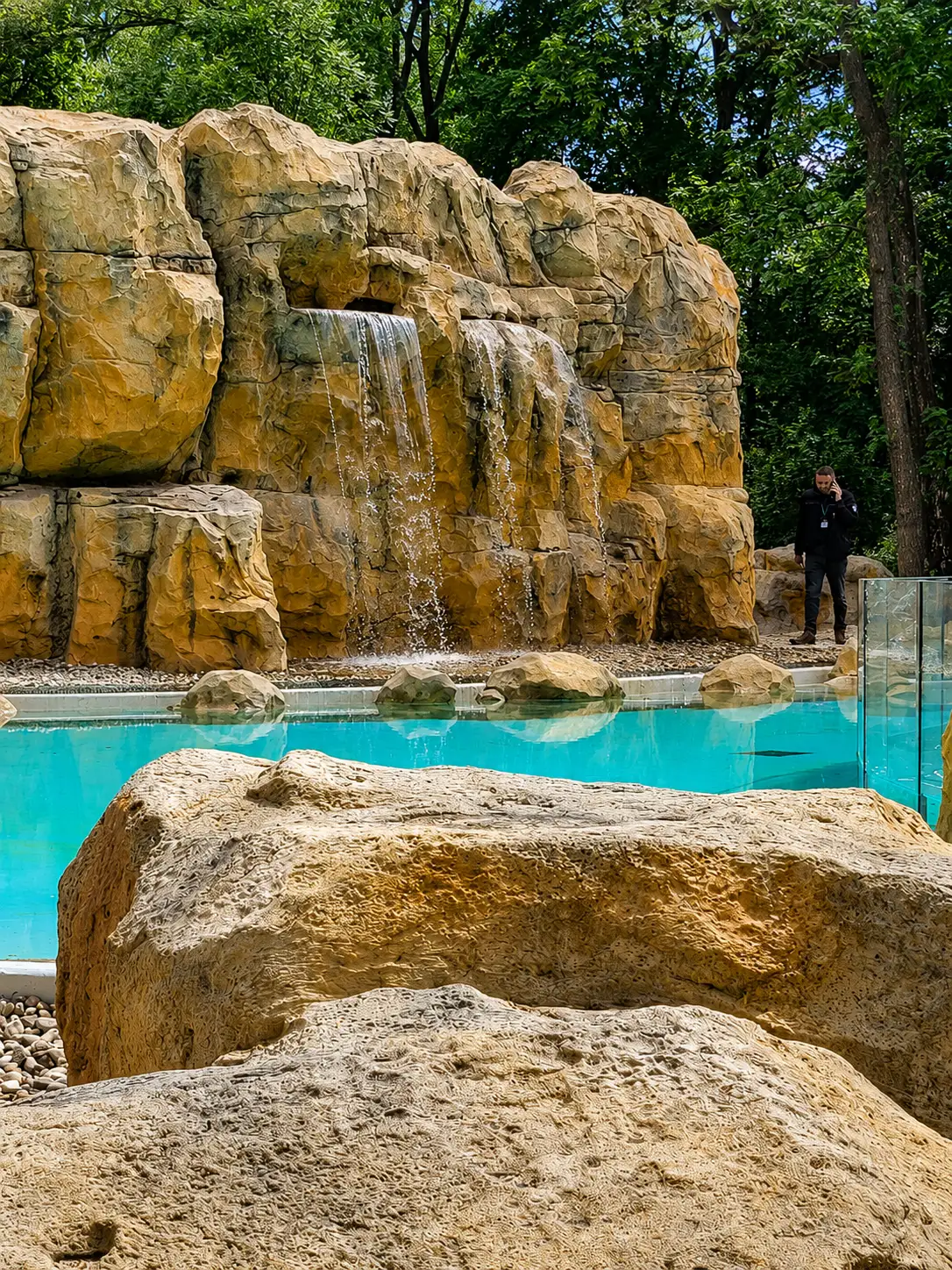 wybieg-pingwinow-zoo-warszawa-8.webp